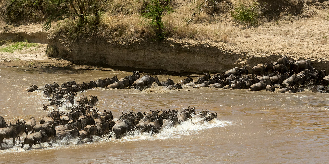 African great wildernesses